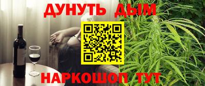 сатива Новозыбков