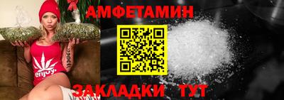 сатива Новозыбков