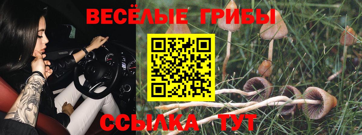 Псилоцибиновые грибы Magic Shrooms Советск