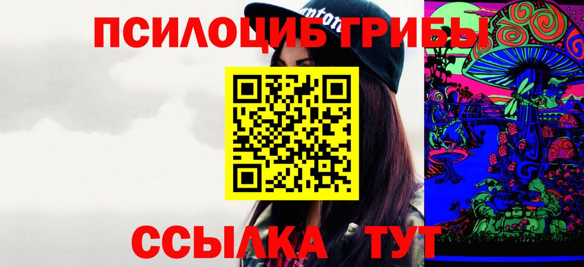 Галлюциногенные грибы Psilocybe  Вход с VPN  хочу   Псилоцибиновые грибы MAGIC MUSHROOMS  Советск 
